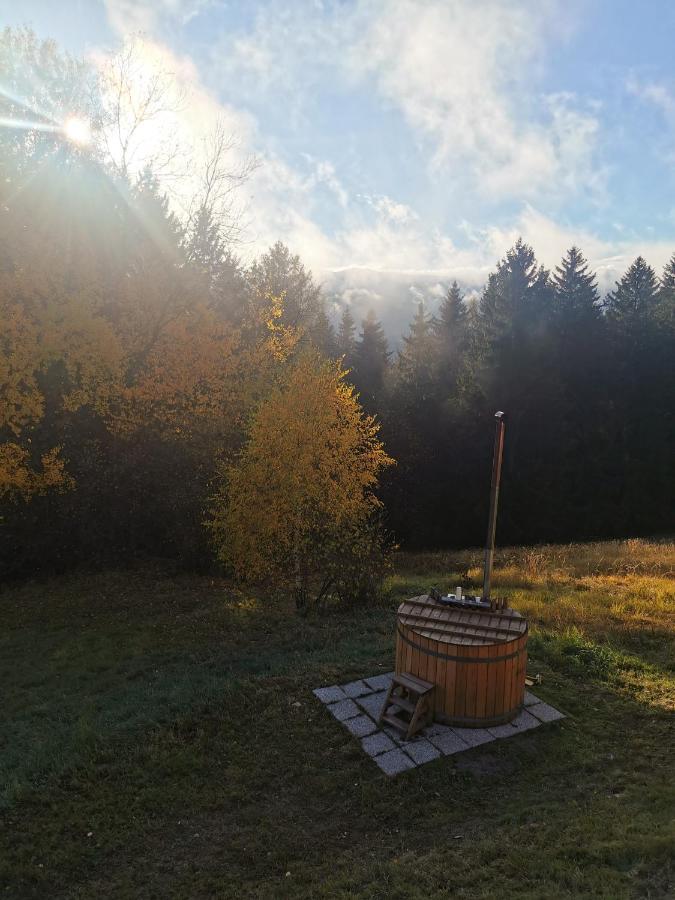 Das Koralpenchalet...Sonne, Wald, Natur! Trahutten Ngoại thất bức ảnh