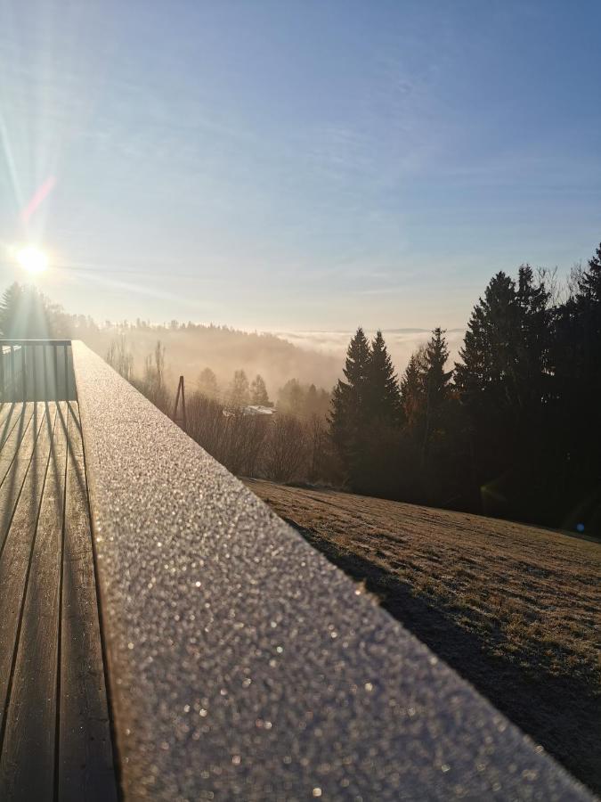 Das Koralpenchalet...Sonne, Wald, Natur! Trahutten Ngoại thất bức ảnh